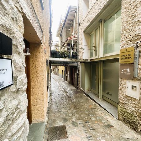 Apartamento Duplex En El Corazon De Camprodon, La Rovira מראה חיצוני תמונה